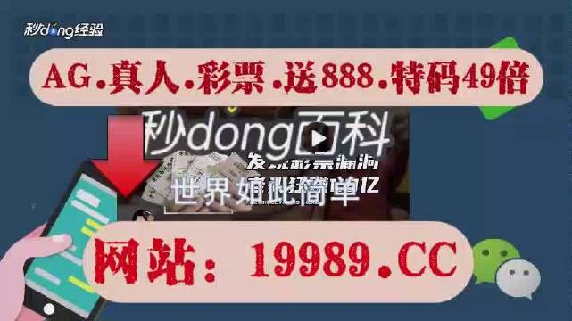 2024年澳门今晚开码料|词语释义解释落实