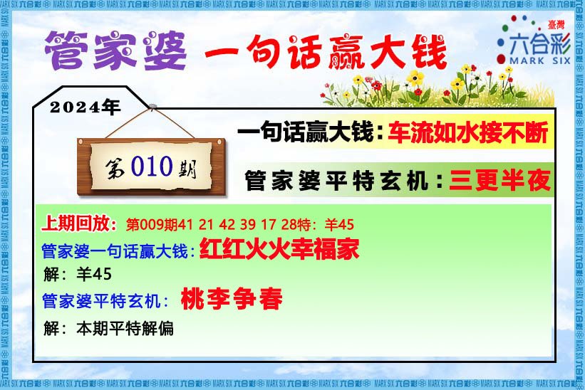 管家婆一码中一肖2024-最佳精选解释落实高端版240.353|精选解释解析落实