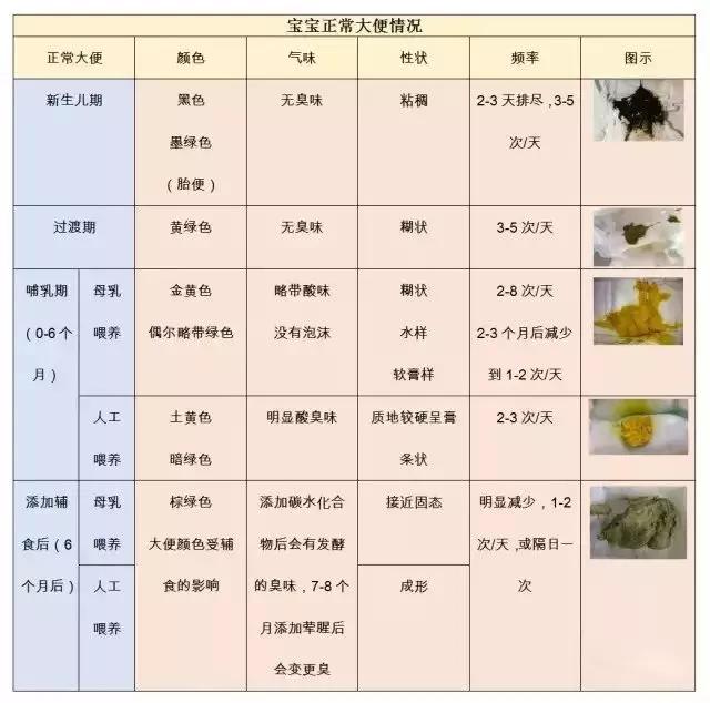 两个月宝宝拉屎次数正常的参考指南