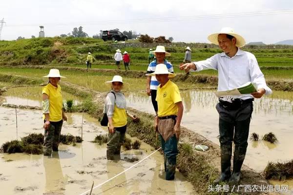 广东省2-3天旅游攻略，探索南国风情，体验多彩文化