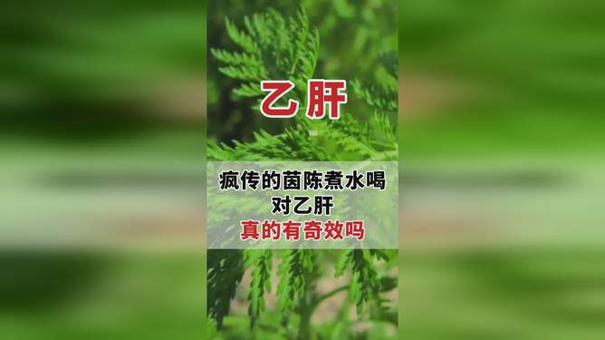 孕妇饮用茵陈水的时间探讨