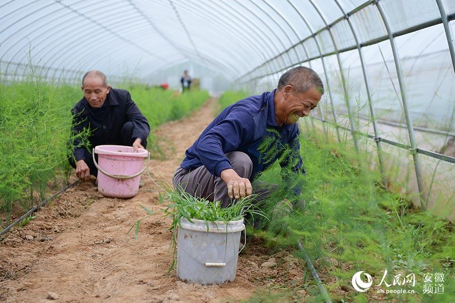 江苏健奔智能科技，引领科技创新的先锋力量