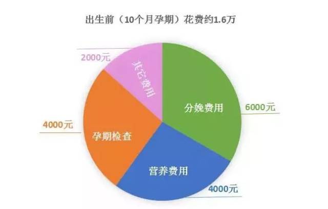 孩子一个月奶粉多少钱，家庭育儿成本与选择考量