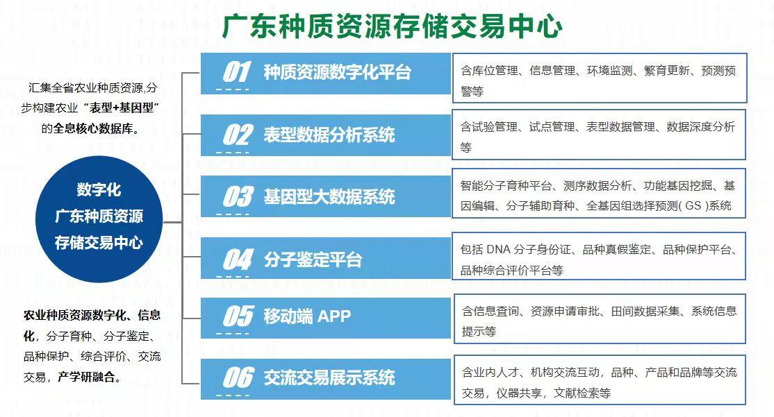 广东存储行业有限公司，引领存储行业新篇章