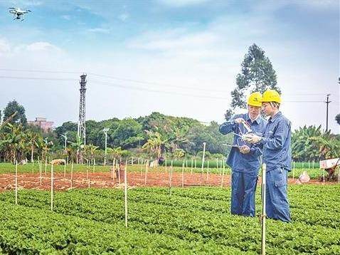 广东电网有限公司领导，引领企业迈向新时代的卓越力量