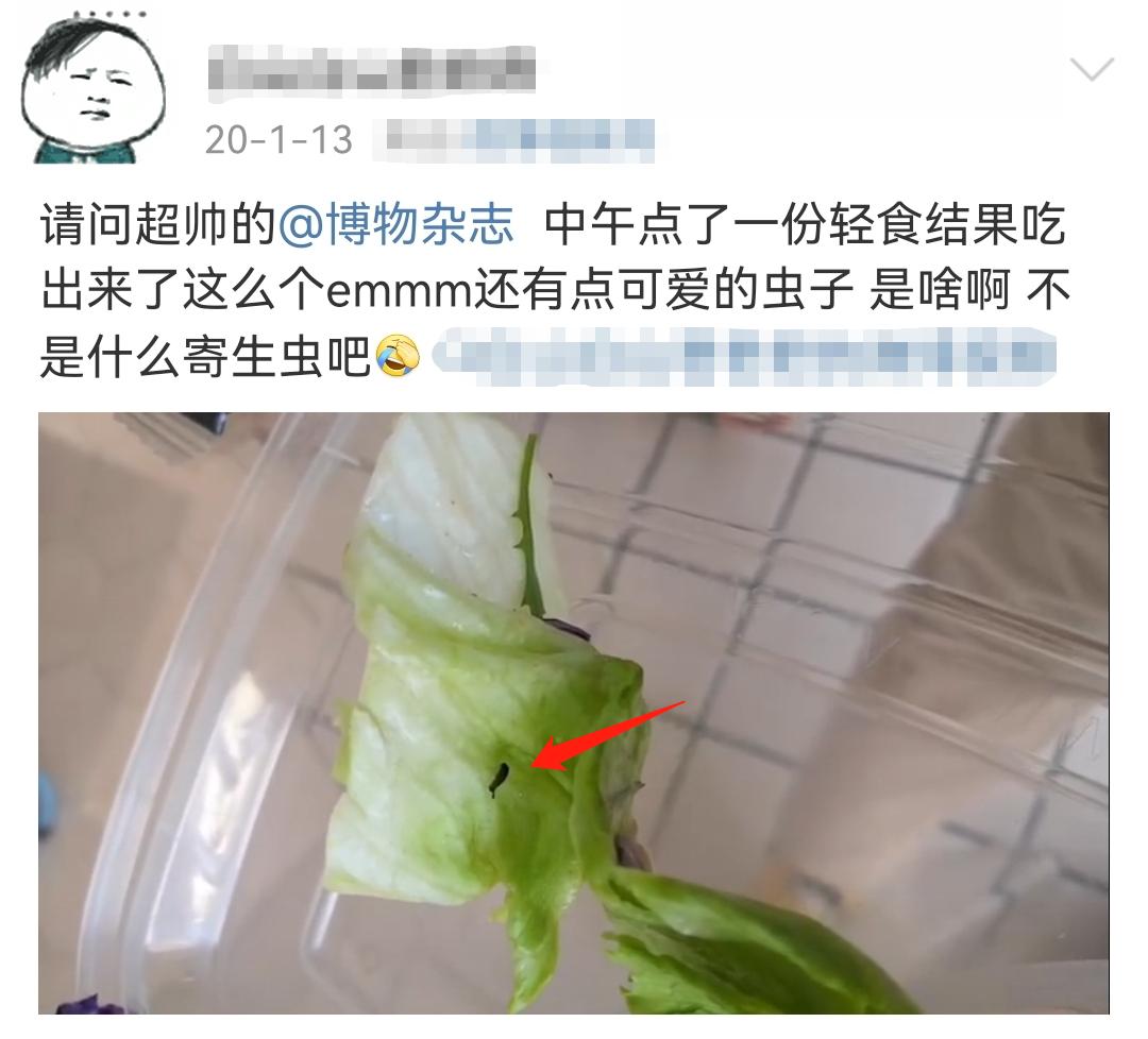 关于两个月宝宝拉肚子症状的研究与探讨